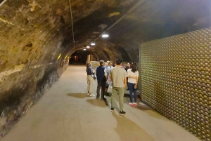 Milano: Tur till Iseosjön och Franciacorta med vingård och vinprovning