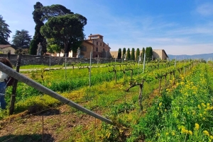 Milano: Tur till Iseosjön och Franciacorta med vingård och vinprovning