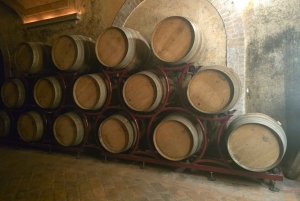 Milano: Tur till Iseosjön och Franciacorta med vingård och vinprovning