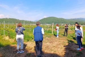 Milano: Tur till Iseosjön och Franciacorta med vingård och vinprovning