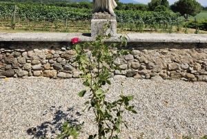 Milano: Tur till Iseosjön och Franciacorta med vingård och vinprovning