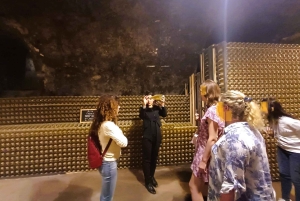 Milano: Tur till Iseosjön och Franciacorta med vingård och vinprovning