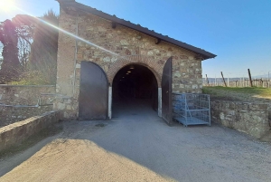 Milano: Tur till Iseosjön och Franciacorta med vingård och vinprovning