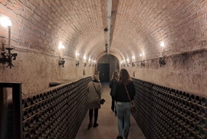 Milano: Tur till Iseosjön och Franciacorta med vingård och vinprovning