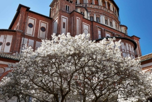 Leonardo da Vincis Nattvarden: Guidad rundtur med konsthistoriker