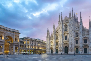 Milano: Malpensa MXP Flygplats till Milano Stad Privat Transfer