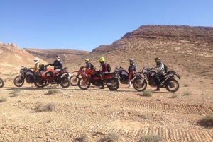 Milan: Motocross Experience with World Champion Oscar Polli