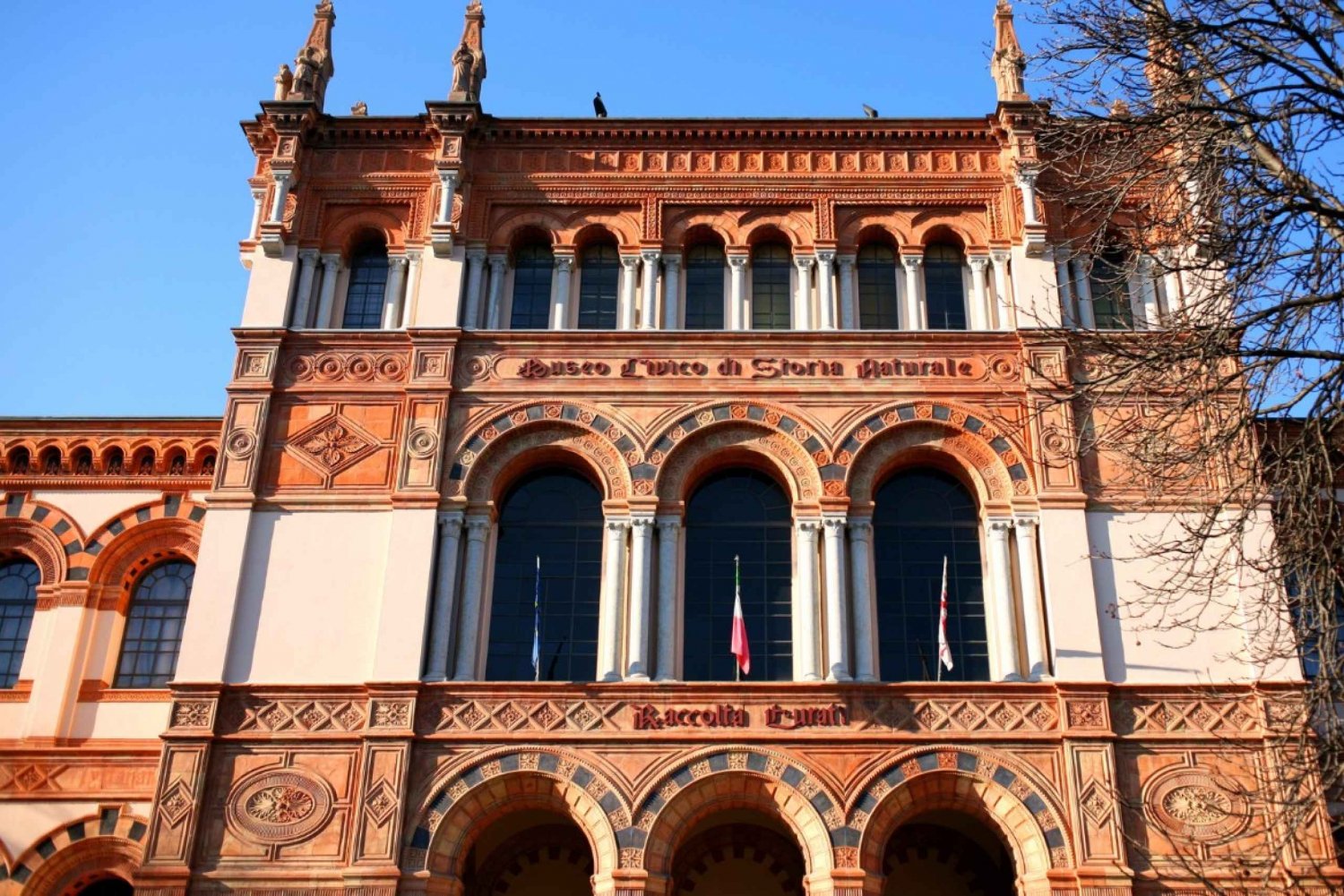 Milan: Natural History Museum Entry Ticket + Audio Guide