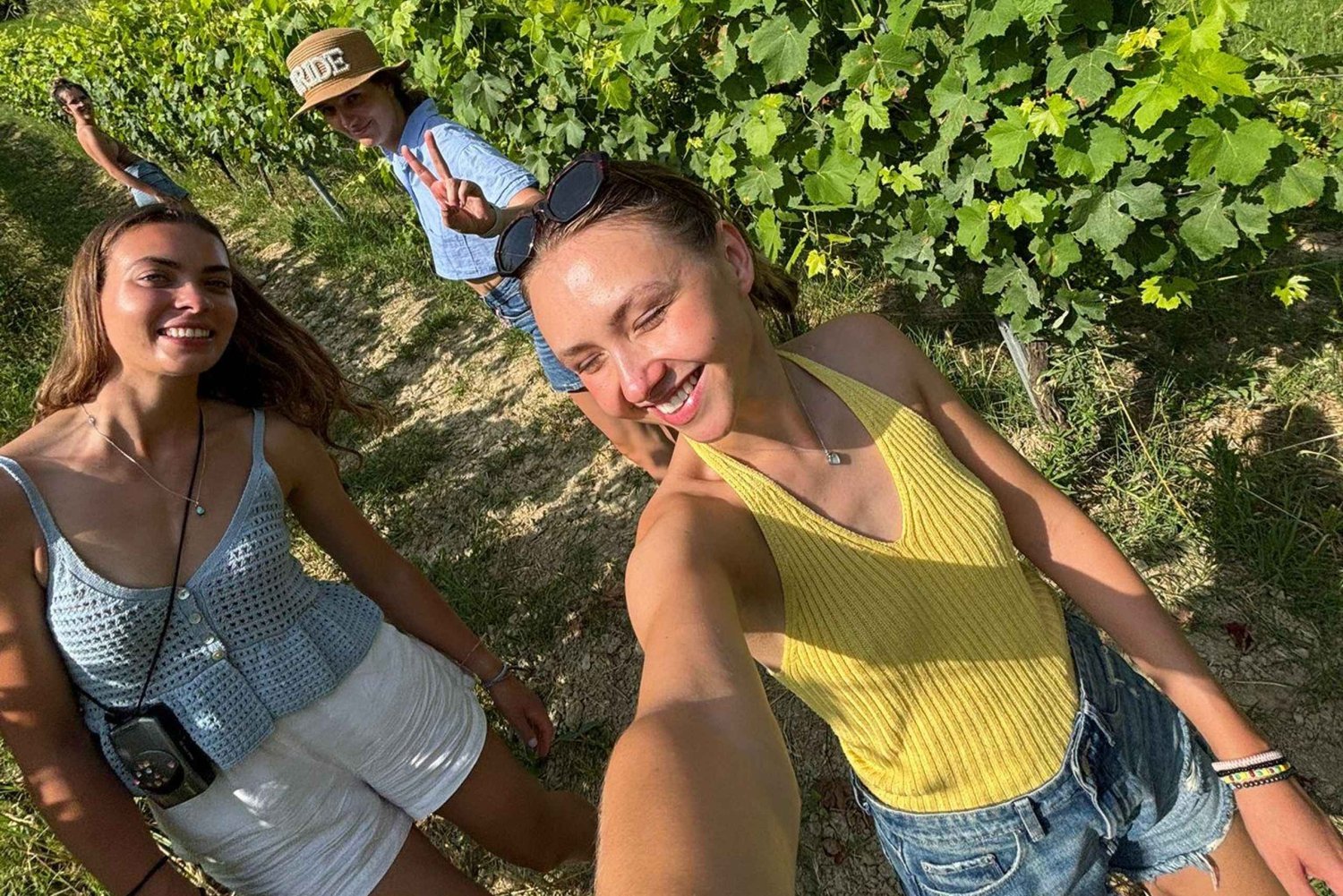 Milano: Druvstampning och vinprovning i Oltrepò Pavese