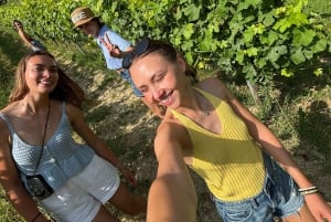 Милан, Олтрепо в зимнее время: крафтовое вино и бутылка вашего собственного вина