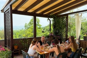 Милан, Олтрепо в зимнее время: крафтовое вино и бутылка вашего собственного вина