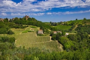 Милан, Олтрепо в зимнее время: крафтовое вино и бутылка вашего собственного вина