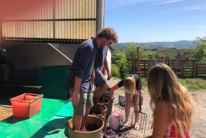 Милан, Олтрепо в зимнее время: крафтовое вино и бутылка вашего собственного вина