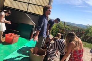 Милан, Олтрепо в зимнее время: крафтовое вино и бутылка вашего собственного вина