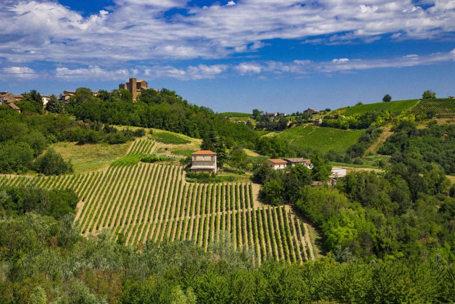 Milano, Oltrepò vintertid: Gör och tappa ditt eget vin