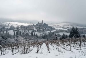 Milano, Oltrepò vintertid: Gör och tappa ditt eget vin