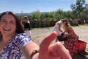 Milano, Oltrepò vintertid: Gör och tappa ditt eget vin