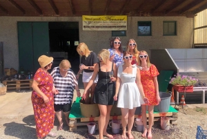 Milano, Oltrepò vintertid: Gör och tappa ditt eget vin