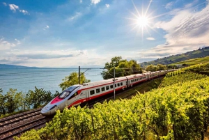 Milan: One-way Train Transfer to/from Peschiera del Garda