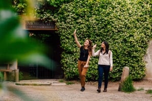 Milan : Visite privée du quartier des Navigli