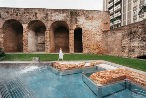 Milan: QC Termemilano Spa Admission Ticket