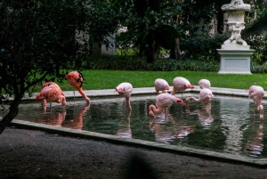 Il lato segreto di Milano: un tour a piedi fuori dai sentieri battuti
