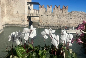 Milano: Dagstur til Verona med cruise til Sirmione ved Gardasjøen