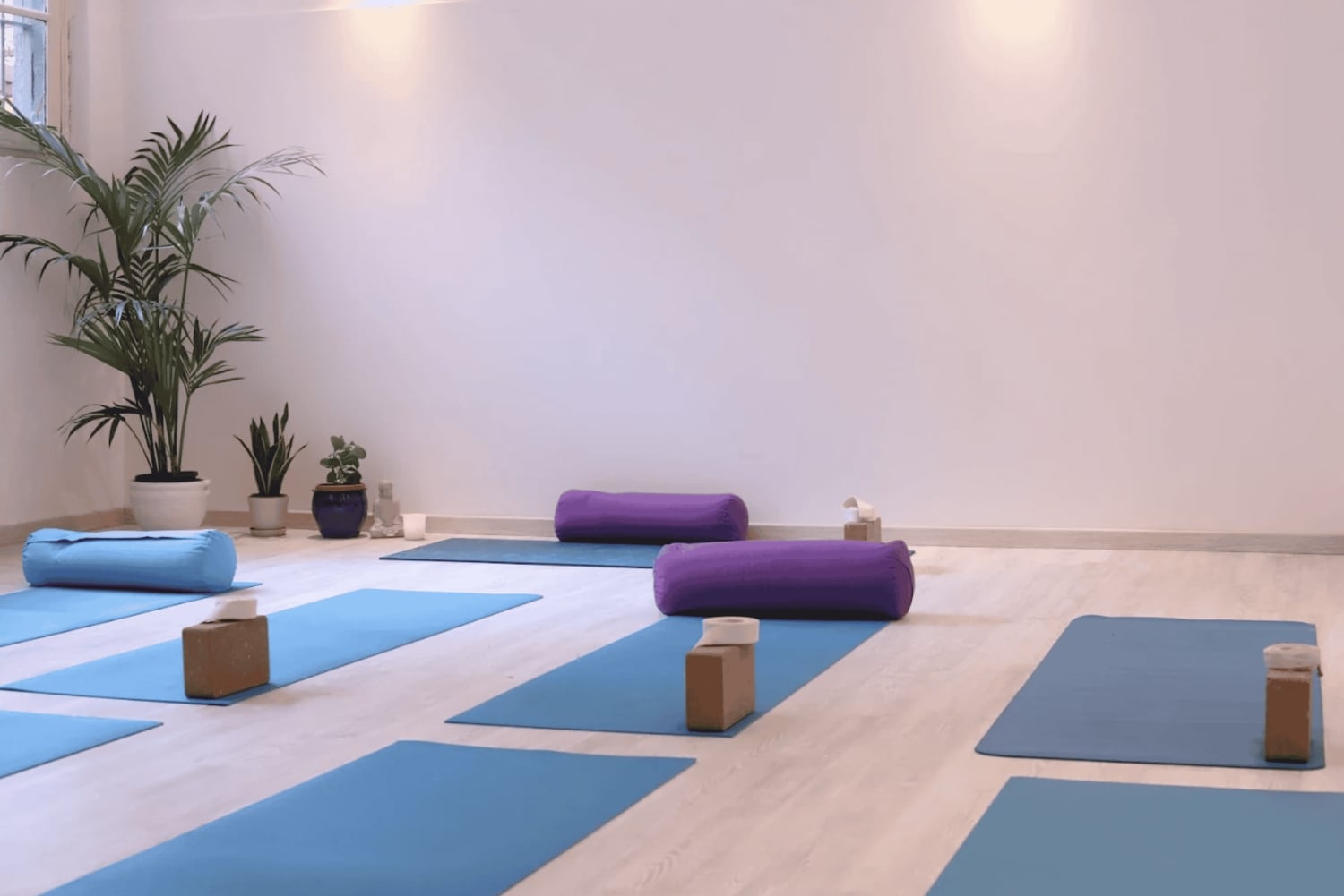 Milano: Vinyasa Flow Yoga Class på engelsk