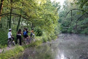 Milano: Cykeltur med picnic ved skildpaddesøen