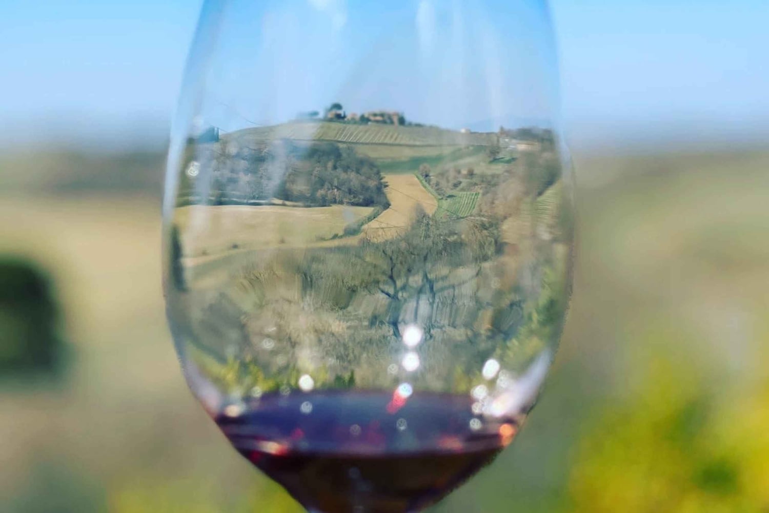 Montepulciano: Wine Tour and tasting