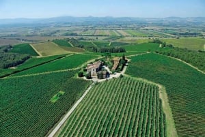 Montepulciano: Vinresa och vinprovning