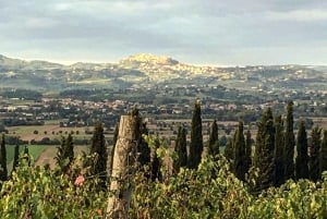 Montepulciano: Vinresa och vinprovning