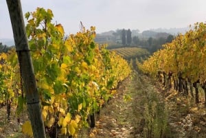 Montepulciano: Vinresa och vinprovning