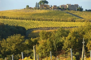 Montepulciano: Monteculano: Viinikierros ja maistelu