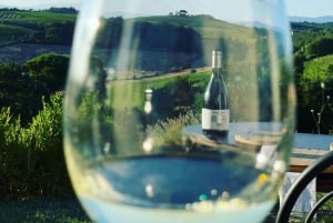 Montepulciano: Vinresa och vinprovning