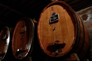 Montepulciano: Visita y cata de vinos