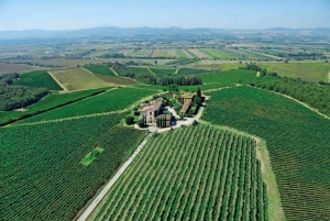 Montepulciano: Wine Tour and tasting