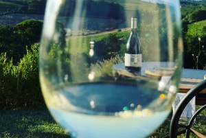 Montepulciano: Wine Tour and tasting