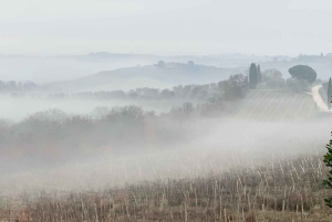 Montepulciano: Wine Tour and tasting