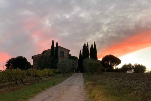 Montepulciano: Wine Tour and tasting