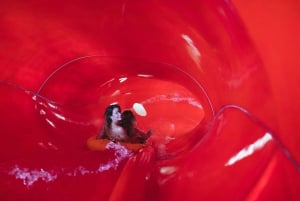 Monza: Acquaworld Experience med inträdesbiljetter