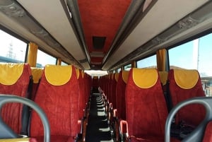 Bus rental in Milan for Linate and Malpensa airports