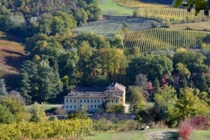 Oltrepò Pavese: Winery Tour and Wine Tasting outside Milan