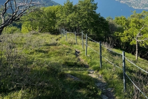 Vanuit Milaan/Como: Panoramische wandeltochten bij het Comomeer