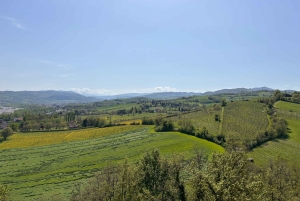 パルマ フード ツアー: パルミジャーノ レッジャーノとパルマ産プロシュート