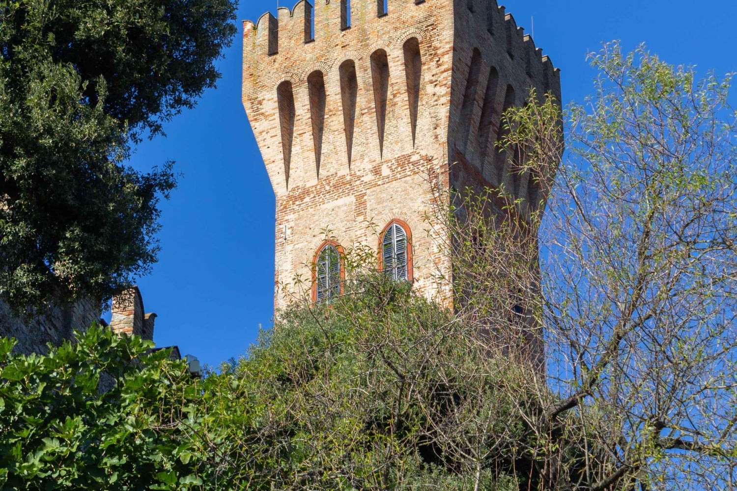 Pavia: among Vineyards and Castles: tasting and authentic lunch in Oltrepò