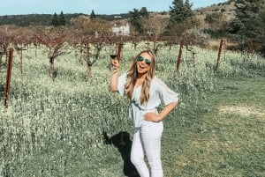 Pavía: entre viñedos y castillos: degustación y almuerzo auténtico en Oltrepò