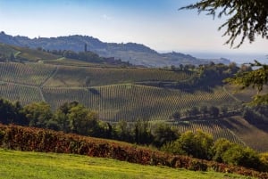 Pavía: entre viñedos y castillos: degustación y almuerzo auténtico en Oltrepò