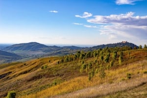 Pavía: entre viñedos y castillos: degustación y almuerzo auténtico en Oltrepò