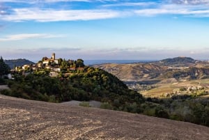 Pavía: entre viñedos y castillos: degustación y almuerzo auténtico en Oltrepò